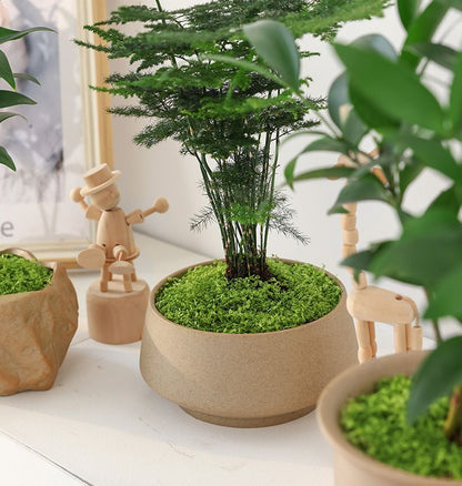 30g Dark Green Artificial Moss-2Pcs V1221-XM-RZTX-01