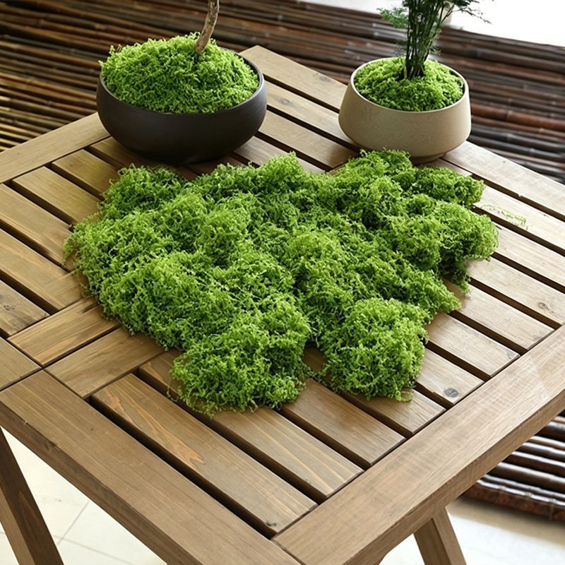 30g Light Green Artificial Moss-2Pcs V1221-XM-RZTX-02