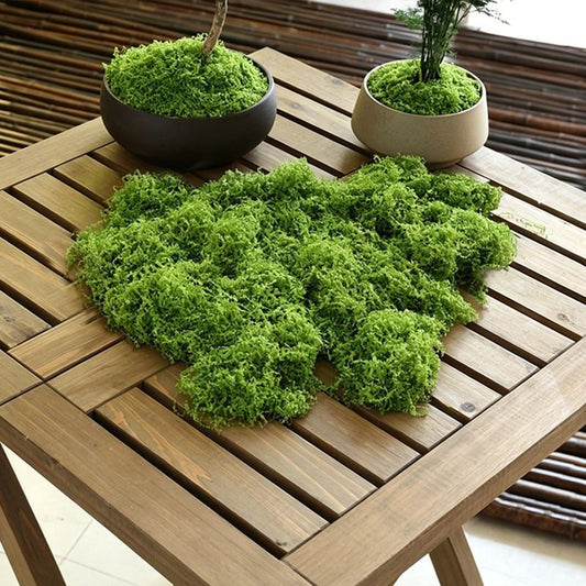 30g Light Green Artificial Moss-2Pcs V1221-XM-RZTX-02