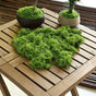 30g Light Green Artificial Moss-2Pcs V1221-XM-RZTX-02