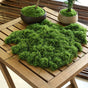 50g Dark Green Artificial Moss V1221-XM-RZTX-03