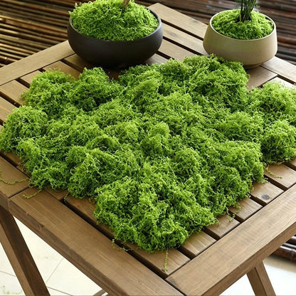 50g Light Green Artificial Moss V1221-XM-RZTX-04