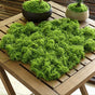 50g Light Green Artificial Moss V1221-XM-RZTX-04