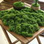 200g Dark Green Artificial Moss V1221-XM-RZTX-07