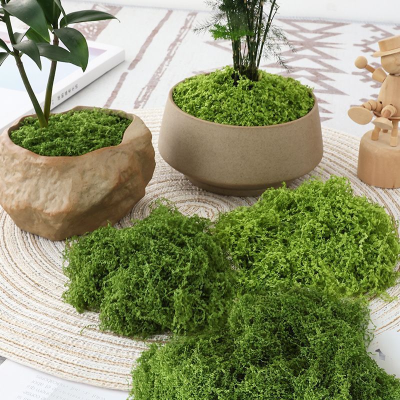 Dark Green Artificial Moss 50x50cm V1221-XM-RZTX-09