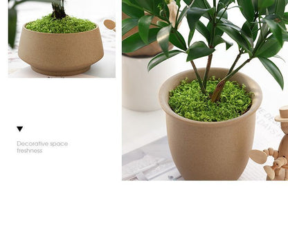 Light Green Artificial Moss 50x100cm V1221-XM-RZTX-12