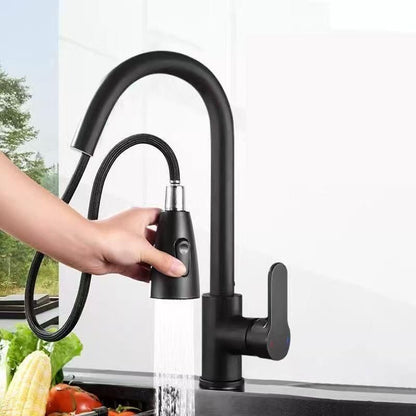 Black Kitchen Faucet V1221-XM-SLT-001