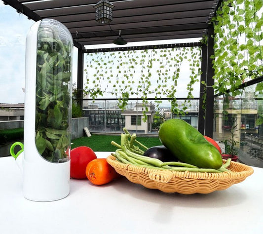 4Pcs Herb & Vegetable Fresh Storage Containers-White V1221-XM-XCBXH-01