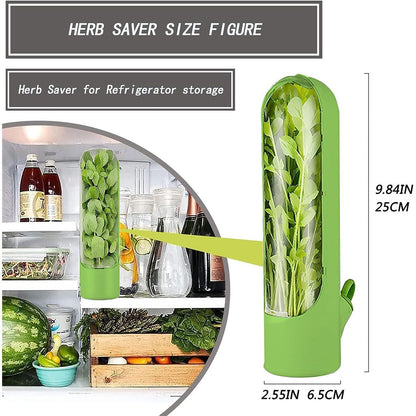 4Pcs Herb & Vegetable Fresh Storage Containers-Black V1221-XM-XCBXH-02