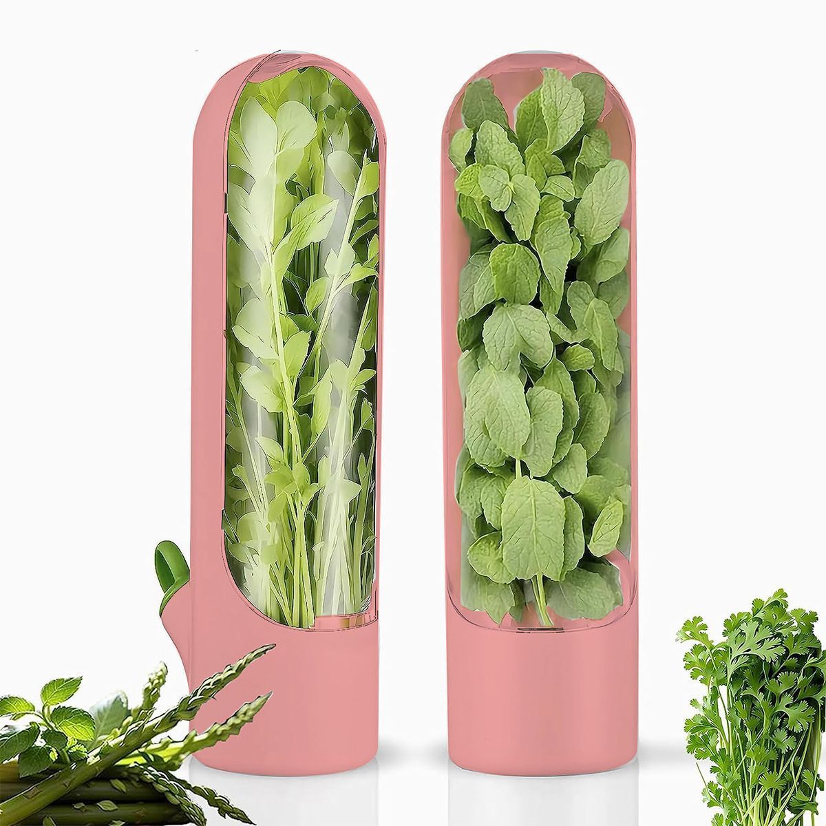 4Pcs Herb & Vegetable Fresh Storage Containers-Pink V1221-XM-XCBXH-03