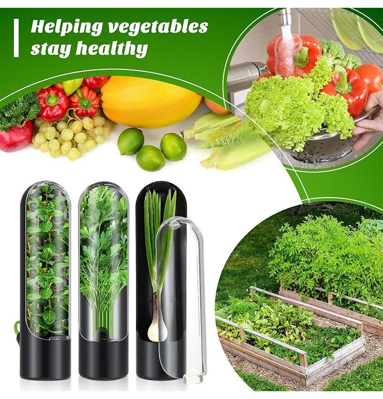 4Pcs Herb & Vegetable Fresh Storage Containers-Pink V1221-XM-XCBXH-03