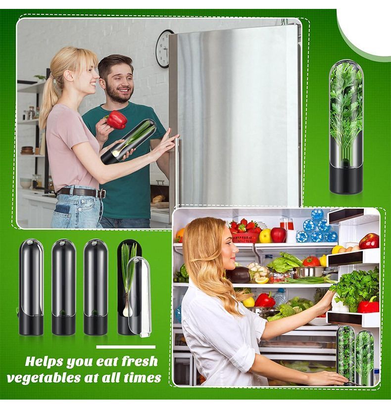4Pcs Herb & Vegetable Fresh Storage Containers-Pink V1221-XM-XCBXH-03