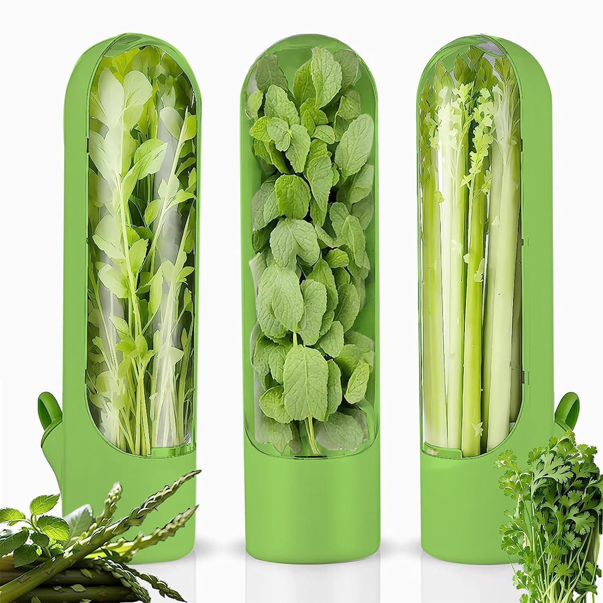 4Pcs Herb & Vegetable Fresh Storage Containers-green V1221-XM-XCBXH-04