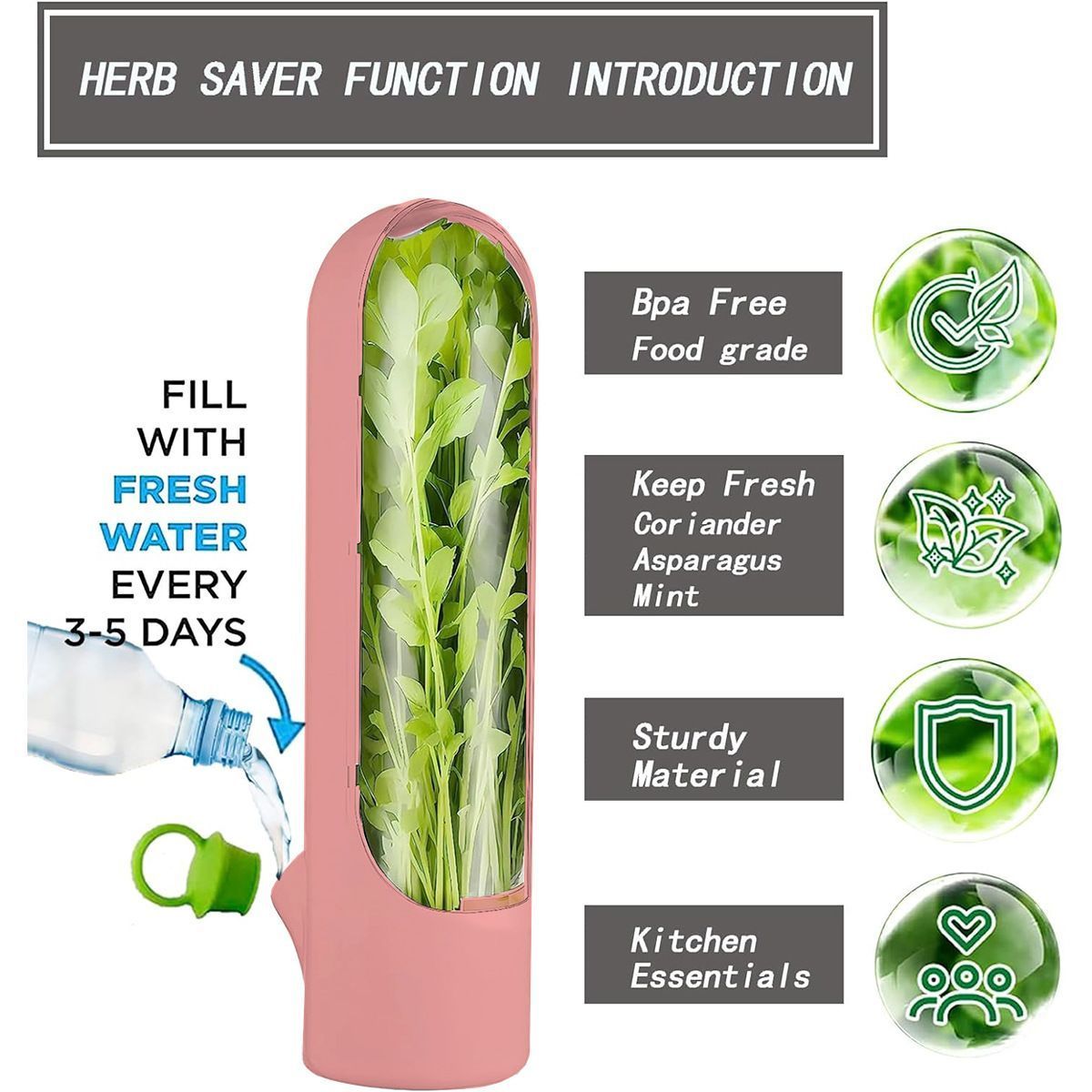 4Pcs Herb & Vegetable Fresh Storage Containers-green V1221-XM-XCBXH-04