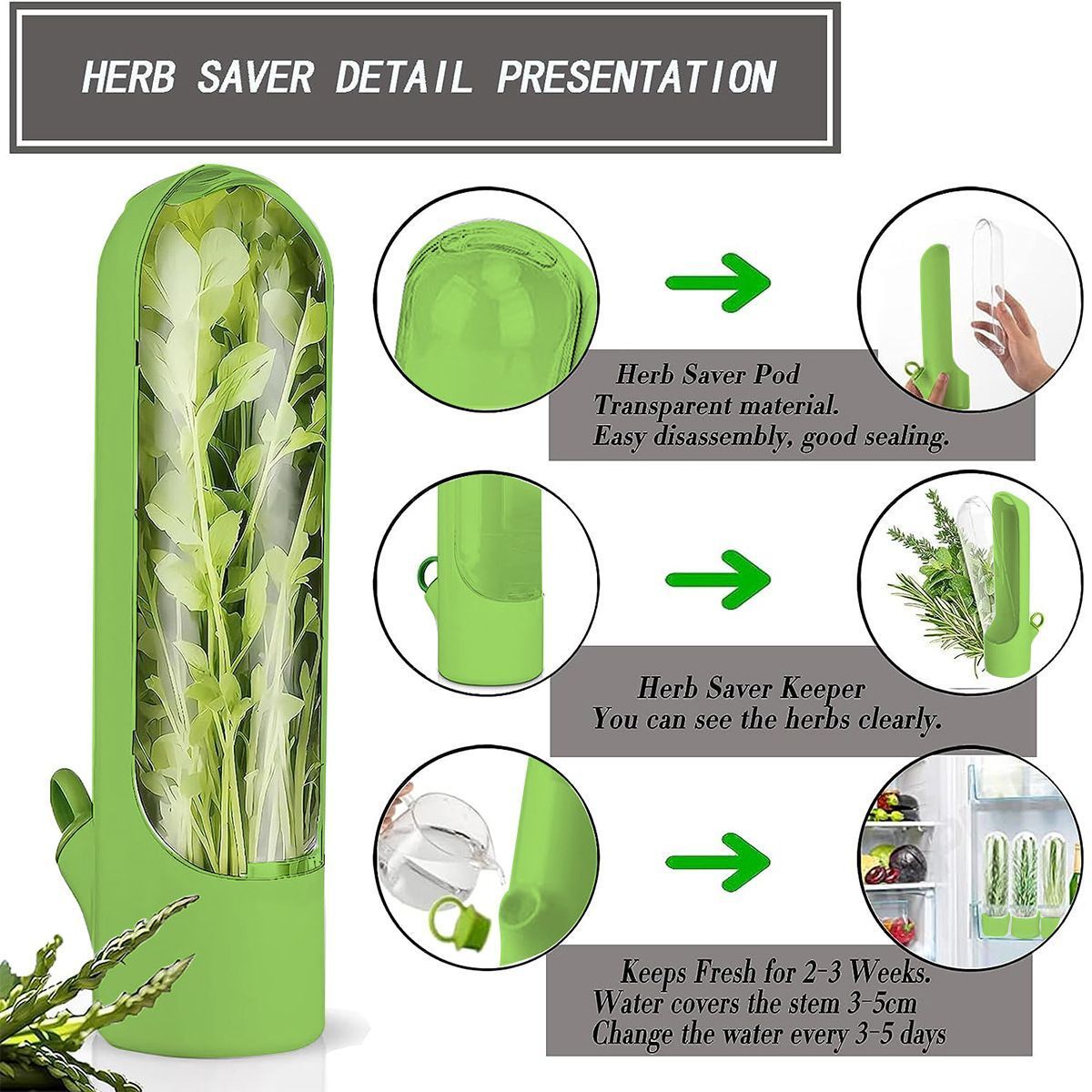 4Pcs Herb & Vegetable Fresh Storage Containers-green V1221-XM-XCBXH-04