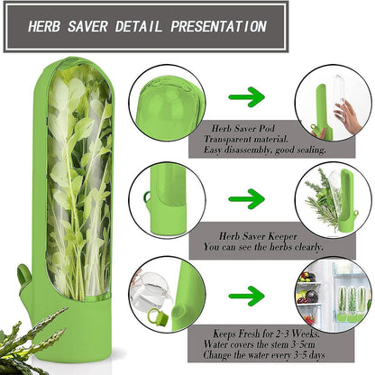 4Pcs Herb & Vegetable Fresh Storage Containers-green V1221-XM-XCBXH-04