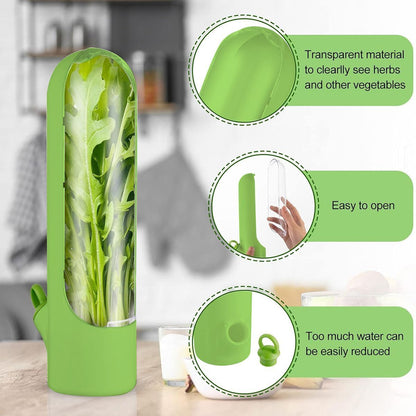 4Pcs Herb & Vegetable Fresh Storage Containers-green V1221-XM-XCBXH-04