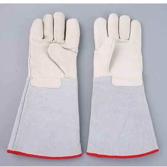 Thermal Leather Freezer Work Gloves - Thinsulate Lined, Kevlar Reinforced Cold Store & Outdoor Winter Safety V1232-FDNHST001