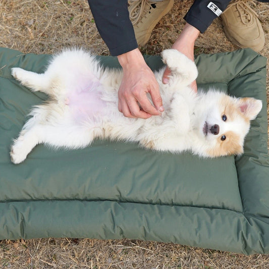 High-Quality Pet Portable Moisture-Proof Mattress, 120x80cm Large Size, Foldable for Storage, Wear-Resistant V1232-GGCYC008