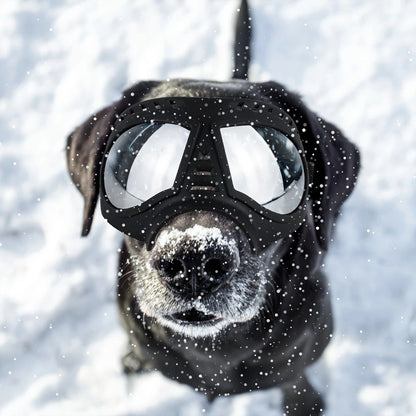 Large Dog Goggles | Windproof, Snowproof, UV Protection, Flexible Frame Sunglasses for Outdoor V1232-GGHMJ002