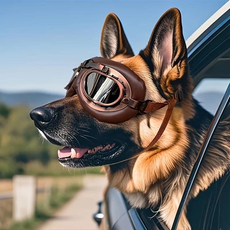 Retro Aviator Dog Goggles | Windproof & UV Protection Adjustable Foldable Sunglasses for Medium-Large V1232-GGHMJ006