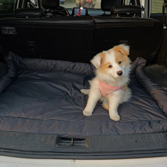 High-Quality Pet Portable Moisture-Proof Mattress, 120x80cm Large Size, Foldable for Storage, Wear-Resistant V1232-GGLYC007