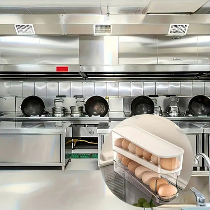 Automatic Sliding Egg Holder 12-14 Eggs Flip Lid Fridge Storage Container V1232-ZDSNH001