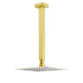 WELS Brushed Gold Square 8" Rain Shower Head 300mm Brass Ceiling Dropper Arm Set V1233-A502300GKSS108G