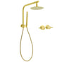 WELS Brushed Gold Round 2in1 Shower Head Set Diverter Wall Arm Stainless Steel Handheld + Taps V1233-A703GSS019CBGKSR108GCPF0282AG