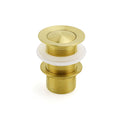 Watermark 32mm Pop Up Push Waste Plug No Overflow Basin Sink Drain Brushed Gold V1233-K81G