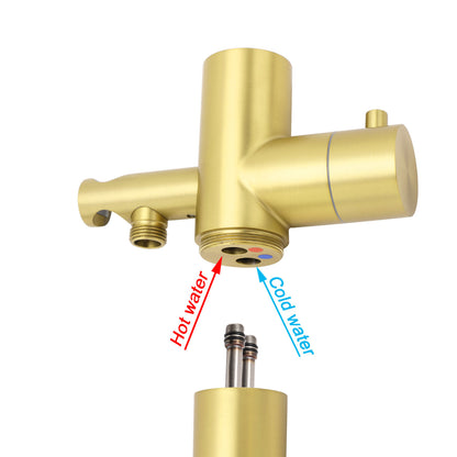 WELS Brushed Gold Twin Shower Handset Combo Set Outdoor Washing 10" Head 316 SUS V1233-KH222G