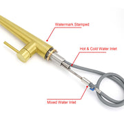 Brushed Gold Pull Out Kitchen Sink Tap Basin Mixer Faucet 2 Mode Spraying Spout V1233-KRD5152G
