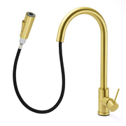 WELS Brushed Gold Pull Out Kitchen Sink Tap Basin Mixer Faucet 2 Modes Spout Set V1233-KRD519BG