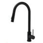 Matt Black Round Pull Out Down Kitchen Sink Tap Laundry Basin Mixer 2 Way Spout V1233-KRD519BL