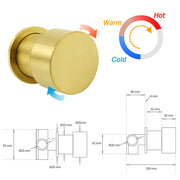 WELS Brushed Gold 2in1 Shower Set 8" Round Head Metal Handheld Rose Sliding Rail Mixer Valve V1233-SC842GSS019CBGKSR108GKC1292BG