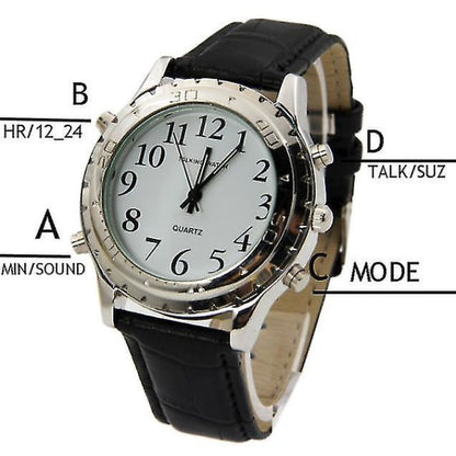 talking clock for the blind or visually impaired V1237-ZY-203-0081
