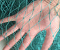 5X10M Heavy Duty Bird Netting Garden Fence and Crops V1237-ZY-203-0321