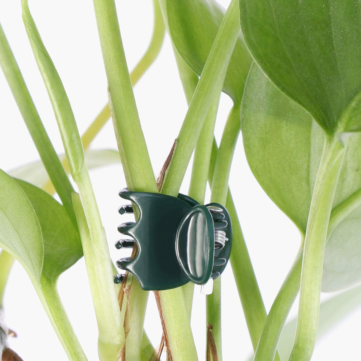 100pcs Orchid Clamps, Garden Plant Clamps for Supporting Orchid Plants V1237-ZY-203-0594