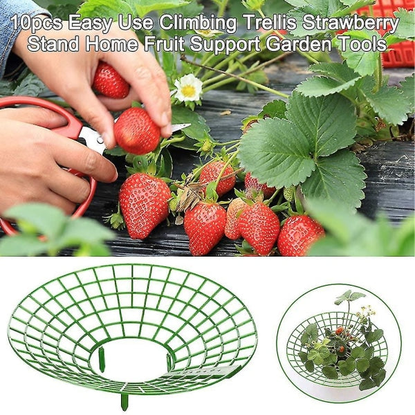 10 pcs Strawberry Plant Support Cages Climbing Rack Strawberry Rack Frame Holder Balcony Planting Rack Fruit V1237-ZY-203-1607