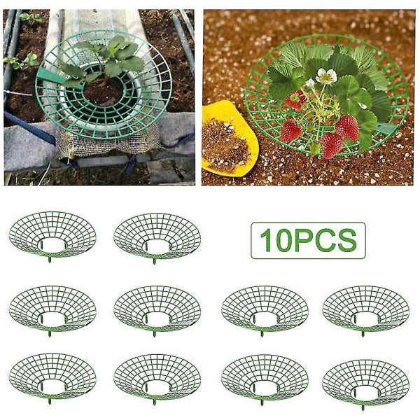 10 pcs Strawberry Plant Support Cages Climbing Rack Strawberry Rack Frame Holder Balcony Planting Rack Fruit V1237-ZY-203-1607
