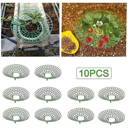 10 pcs Strawberry Plant Support Cages Climbing Rack Strawberry Rack Frame Holder Balcony Planting Rack Fruit V1237-ZY-203-1607