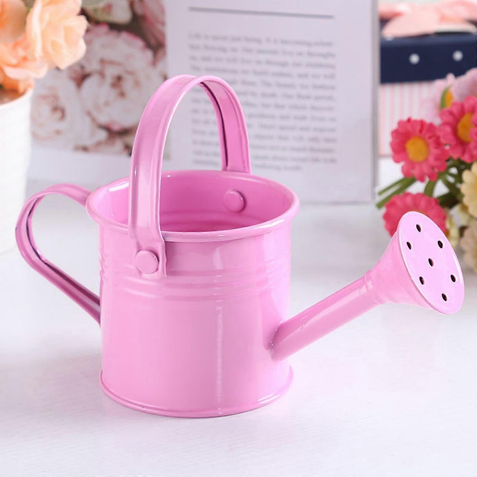 100% New, Mini Iron Watering Can, Spray Bottle, Metal Forging with Handle, Sprinkler Shower Pink V1237-ZY-203-2162