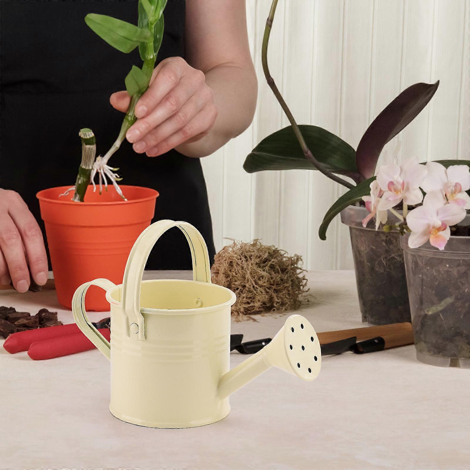 100% New, Mini Iron Watering Can, Spray Bottle, Metal Forging with Handle, Sprinkler Shower Pink V1237-ZY-203-2162