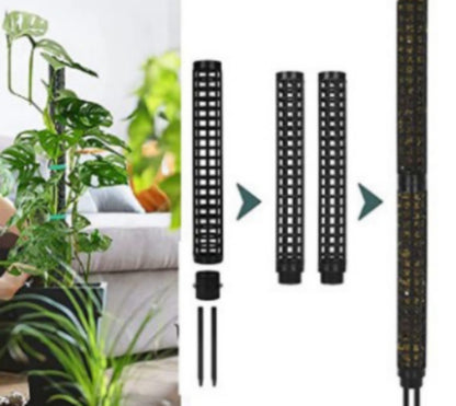Moss stakes for climbing plants Black Variety V1237-ZY-203-2394