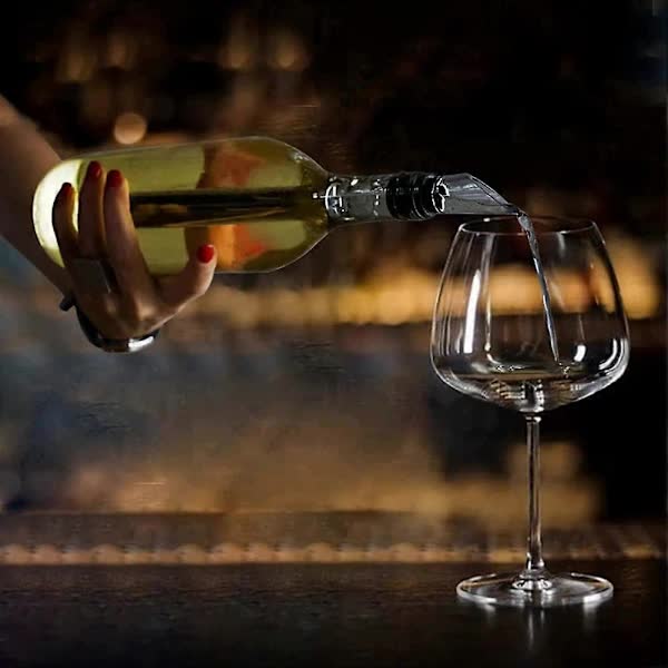 2-pack Wine Cooler Wine Bottle Cooler Stainless Steel Wine Chiller Wine Decanter with Wine Aerator V1237-ZY-203-3116