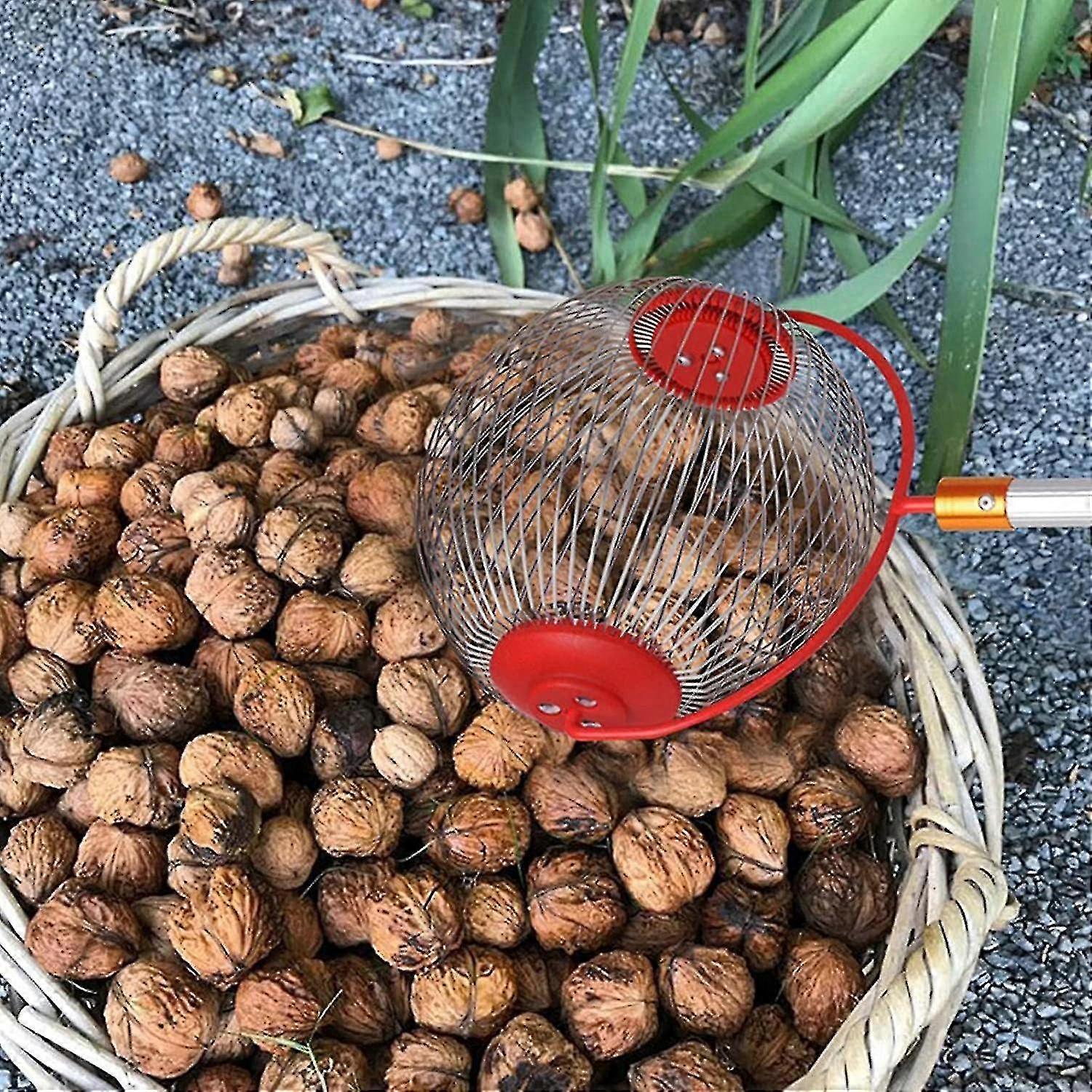 Nut Picker - Side opening for emptying walnuts, rolling picker for pine cones, picker, collector, ball picker V1237-ZY-203-3419