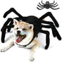 Halloween Adjustable Dog Cat Spider Costume Realistic Plush Spider V1237-ZY-203-3490