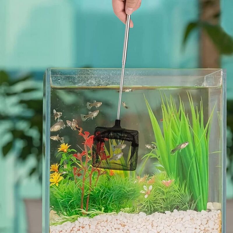 Adjustable Telescopic Fishing Net for Aquarium, Extendable Handle Fishing Landing Net, Mini Foldable Net for V1237-ZY-203-3543
