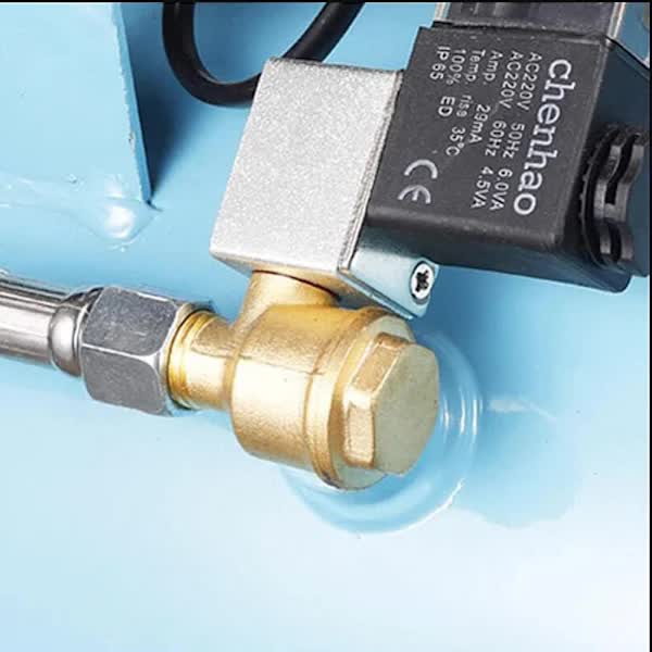 Check valve Foot valve Non-return valve[ca] V1237-ZY-203-3670