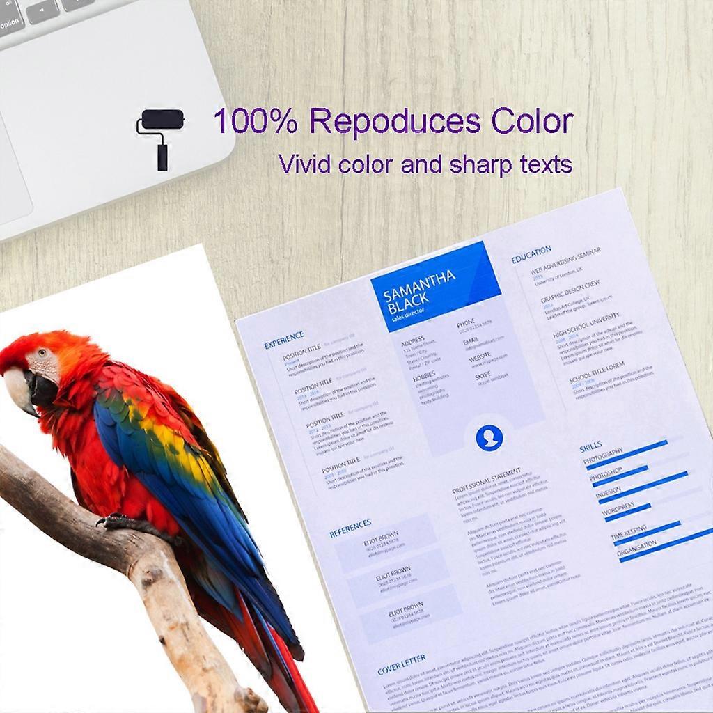 604XL Ink Cartridge for Expression Home XP-2200 XP-2205 Vivid Colors Ink V1237-ZY-203-3911